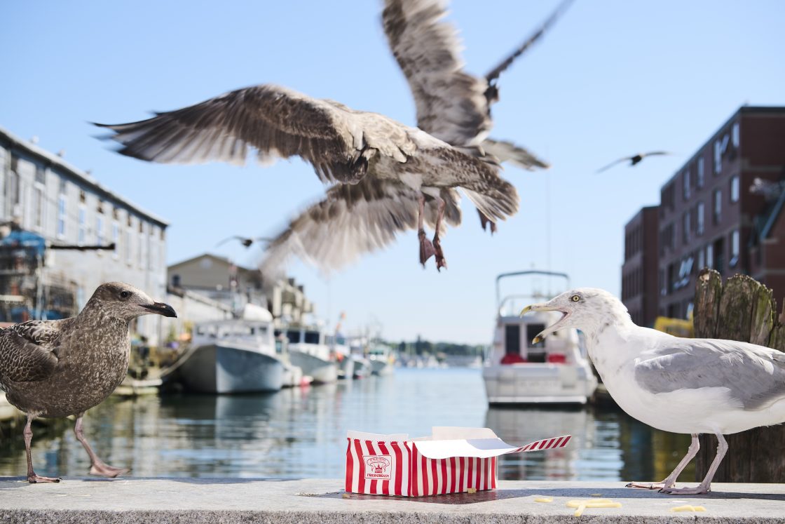 Unless Something Goes Terribly Wrong